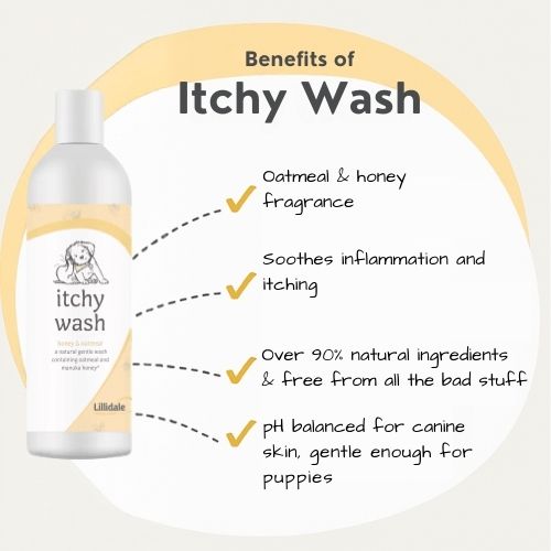 Additional image for Lillidale Itchy Dog Wash