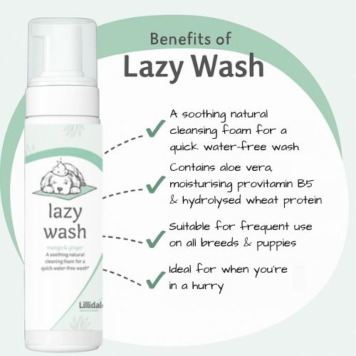 Additional image for Lillidale Lazy Dog Wash (No Rinse)