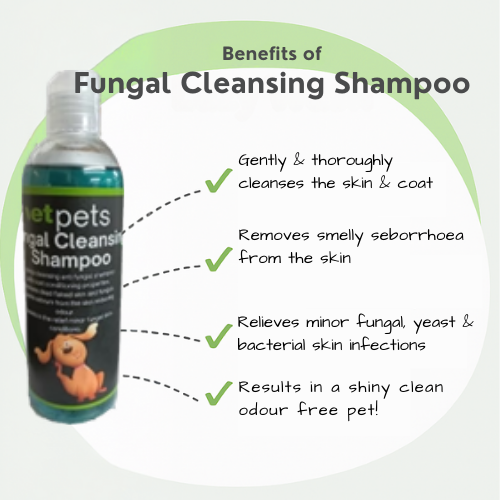 Additional image for Fungal Cleansing Shampoo