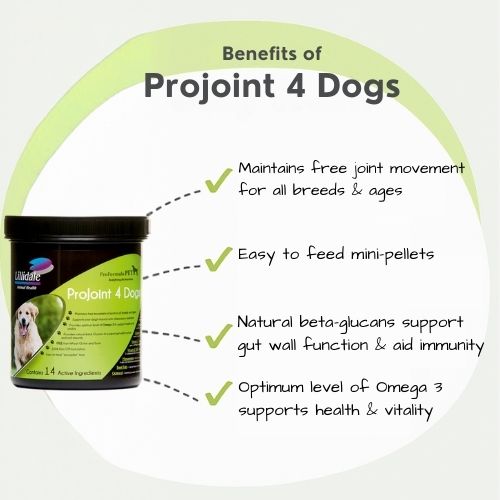 Additional image for ProJoint 4Dogs